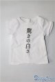 画像: SD&DD/OF:Tシャツ U-24-05-28-088-TN-ZU