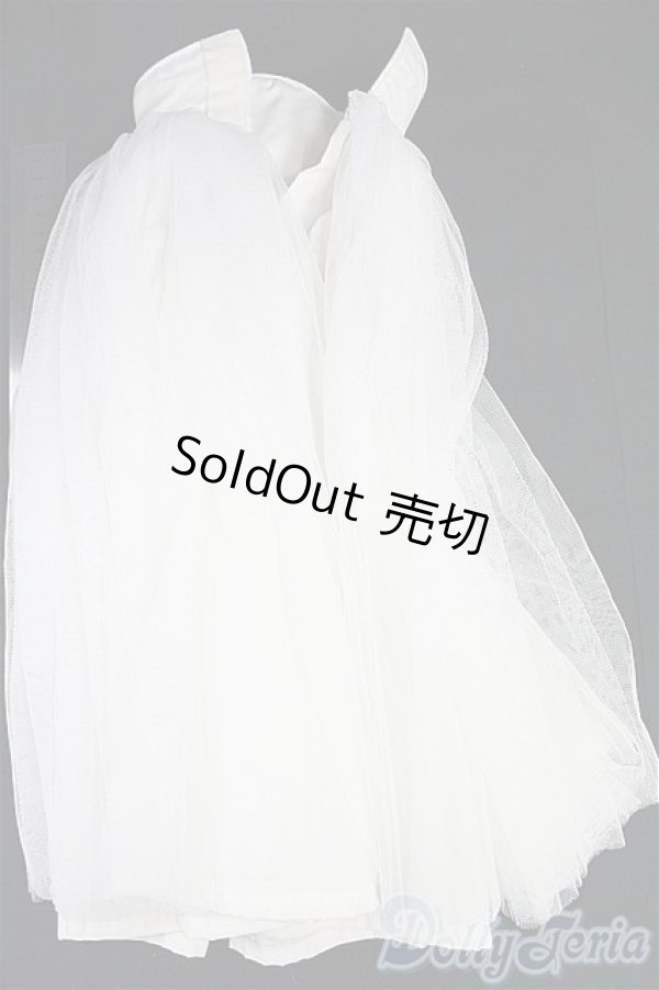 画像6: SD16G/OF:ドレス/1/3　70ｃｍ　BJD　MJD　衣装　ドール用 I-25-11-30-139-TN-ZI (6)