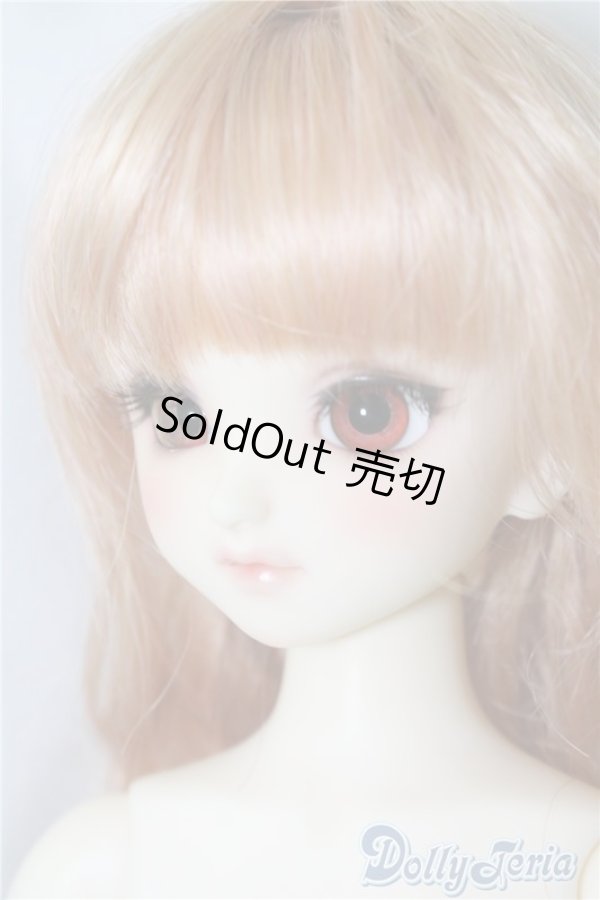 画像3: SDM/コーディネートF-40 U-24-06-11-211-TN-ZU (3)