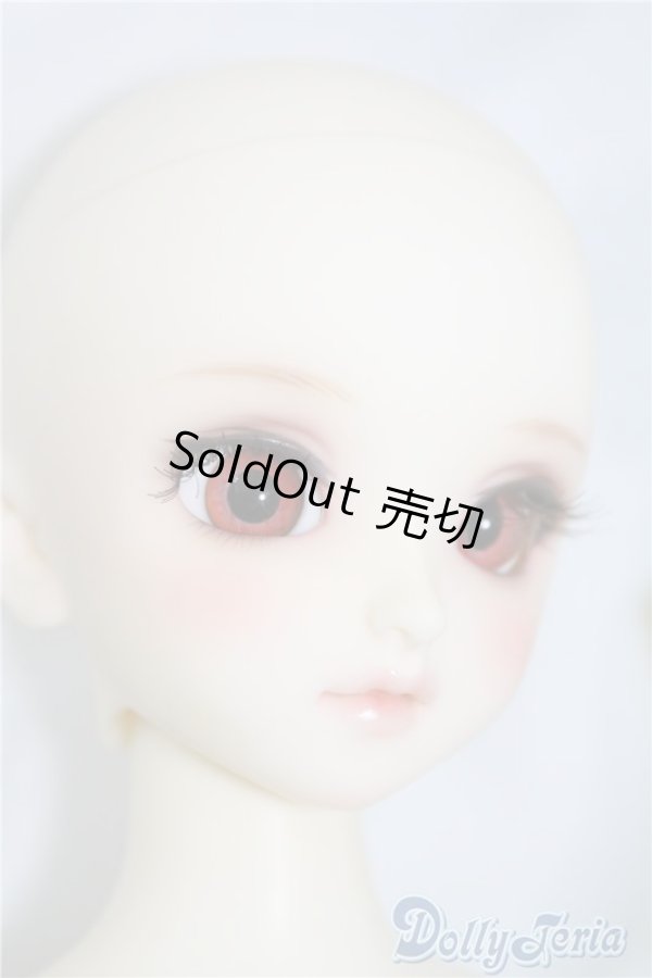 画像6: SDM/コーディネートF-40 U-24-06-11-211-TN-ZU (6)