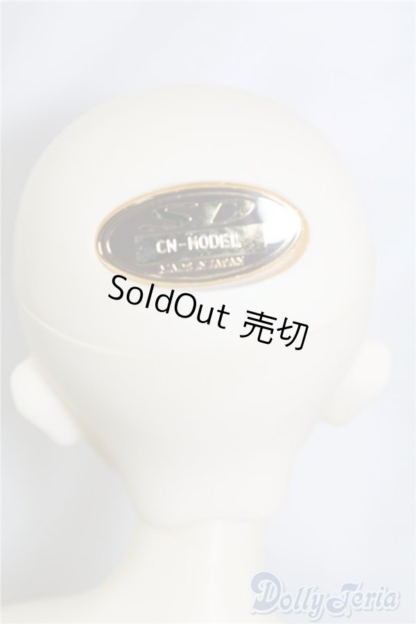 画像8: SDM/コーディネートF-40 U-24-06-11-211-TN-ZU (8)