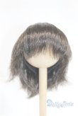 画像1: 7〜8inch/ウィッグ U-25-03-11-275-KD-ZU (1)