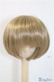 画像1: 9~10inch/ウィッグ U-24-11-12-013-TN-ZU (1)