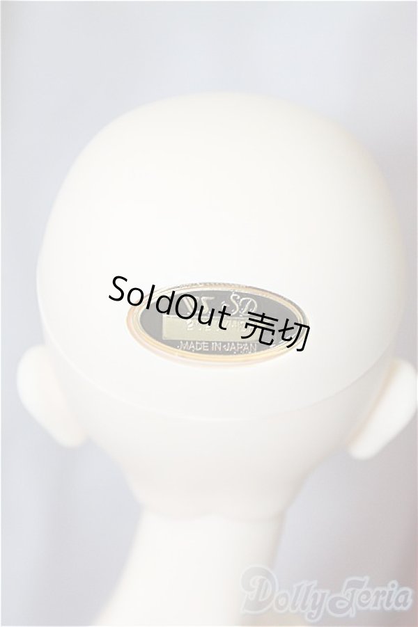 画像4: SDGr/OF：リボンの騎士 サファイア　衣装 U-24-06-25-219-TN-ZU (4)