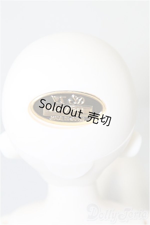 画像4: SDM/サキ10周年記念ver. U-24-06-25-213-TN-ZU (4)