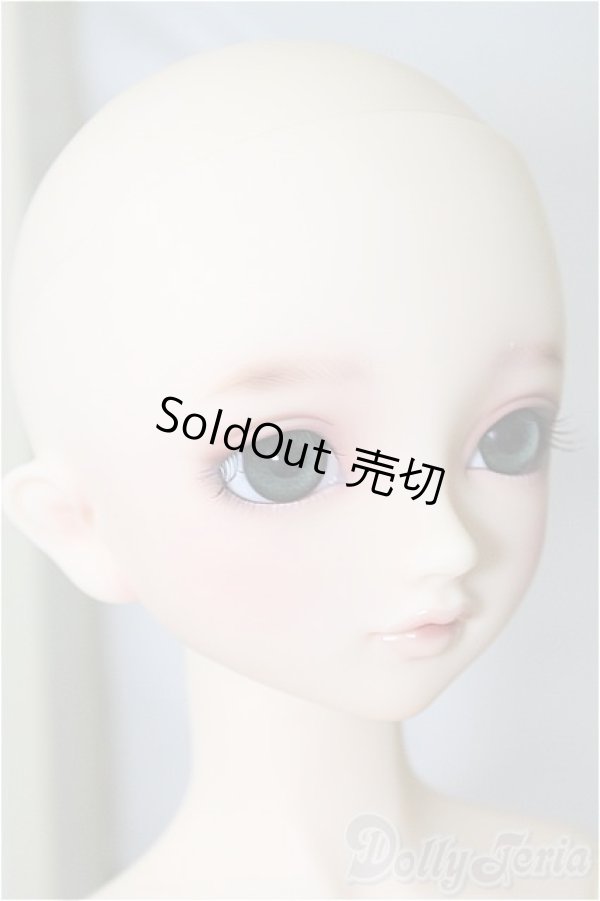 画像3: SD/スタンダードここ U-24-06-25-217-TN-ZU (3)