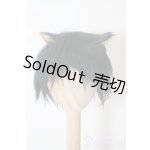 画像: 6〜7inch/ボアウィッグ U-25-07-15-116-TN-ZU