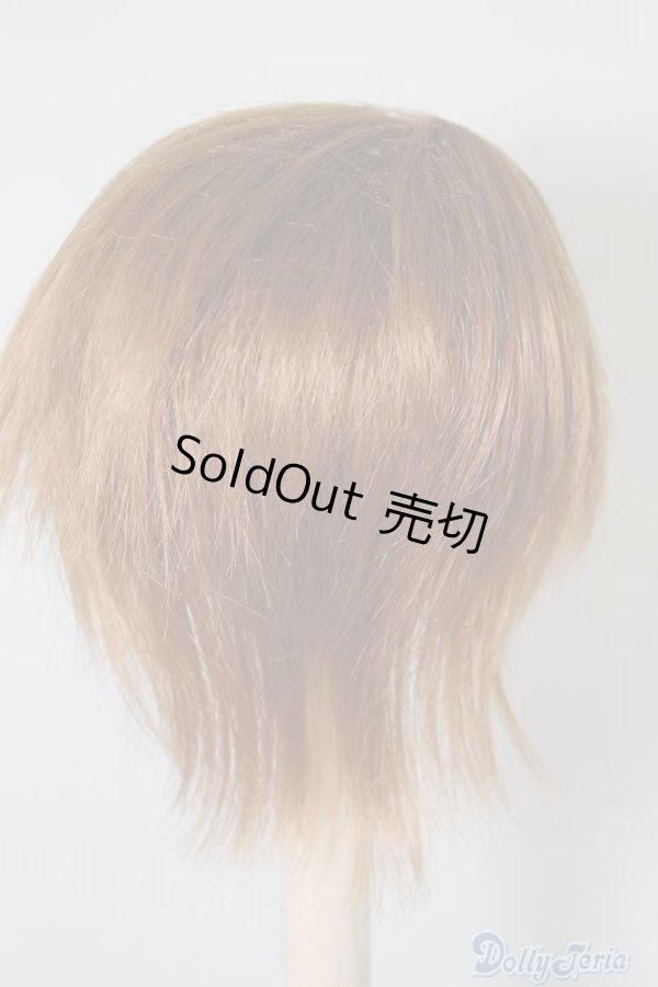 画像2: ウィッグ/8〜9inch U-24-07-09-140-TN-ZU (2)