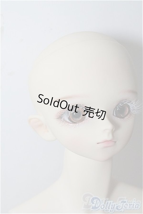 画像3: SDGrBOY/フルチョイスF-14 U-24-07-16-215-KD-ZU (3)