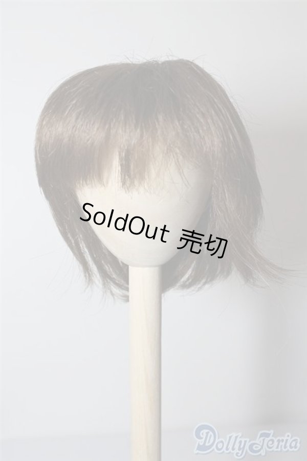 画像1: 9〜10inchウィッグ U-24-08-13-018-TN-ZU (1)