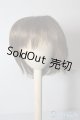 画像: 9〜10inchウィッグ U-24-08-13-018-TN-ZU