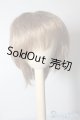 画像: 9〜10inchウィッグ U-24-08-13-030-TN-ZU