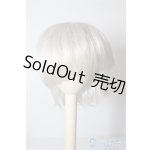 画像: 9〜10inchウィッグ U-24-08-13-025-TN-ZU