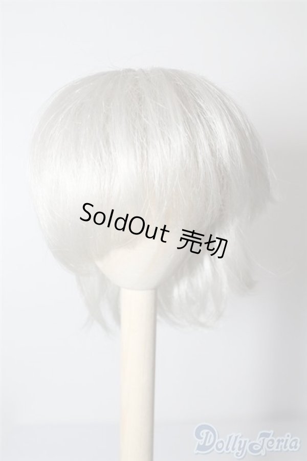 画像1: 9〜10inchウィッグ U-24-08-13-025-TN-ZU (1)