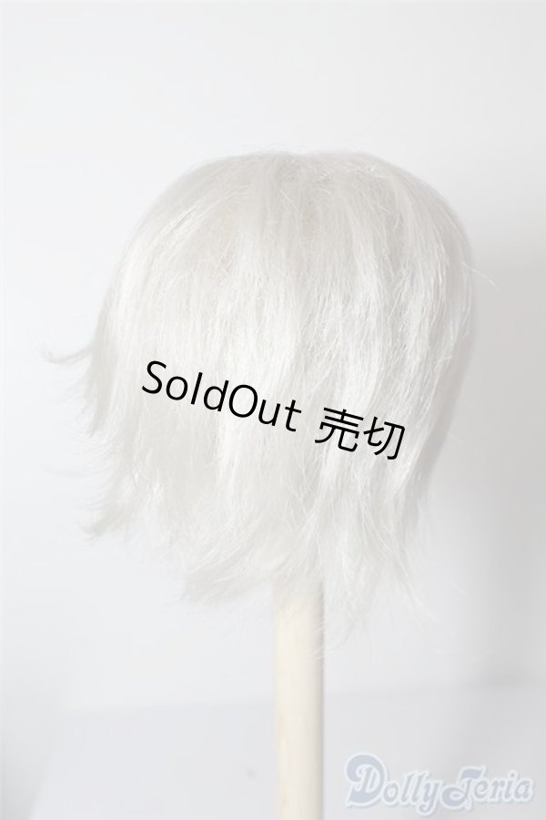 画像2: 9〜10inchウィッグ U-24-08-13-025-TN-ZU (2)