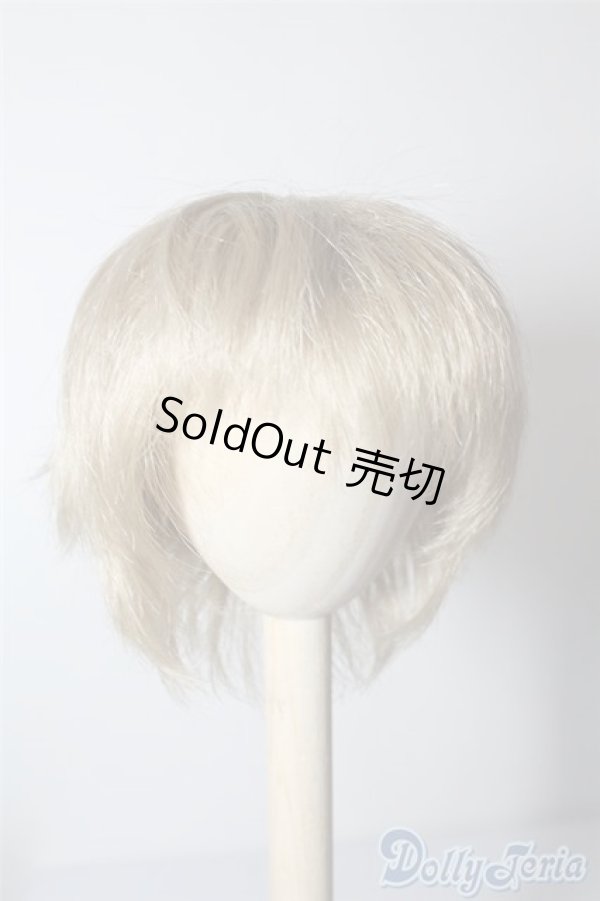 画像1: 9〜10inchウィッグ U-24-08-13-026-TN-ZU (1)