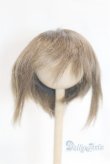 画像1: 9〜10inch/ウィッグ U-25-03-11-263-KD-ZU (1)