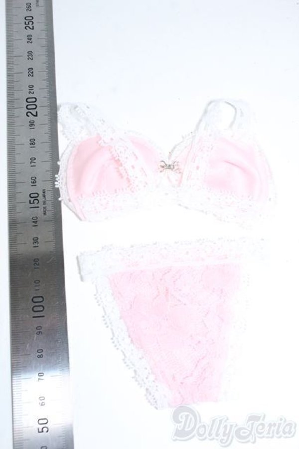 画像2: SD&DD/OF:下着セット Y-25-08-27-201-TN-ZY (2)