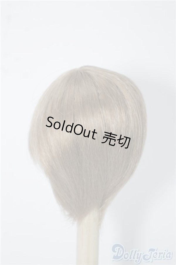 画像2: 7〜8inch/ウィッグ U-24-08-20-011-KD-ZU (2)