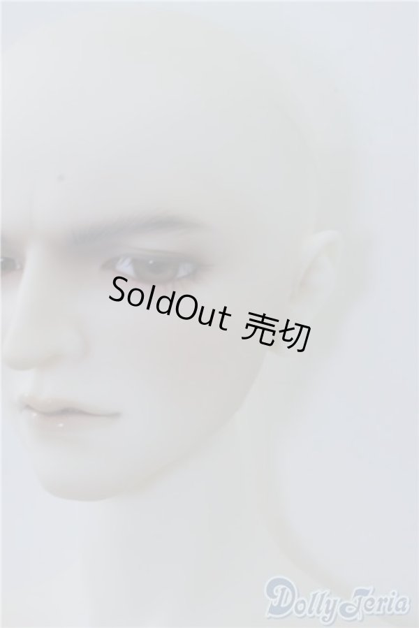 画像4: SD17男の子/セイブル・スネイプ U-24-08-20-219-TN-ZU (4)