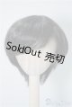 画像: 8-9inch/ウィッグ U-24-08-27-138-TN-ZU