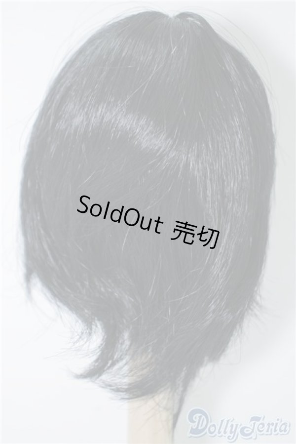 画像2: 7-8inch/ウィッグ U-24-09-10-205-TN-ZU (2)