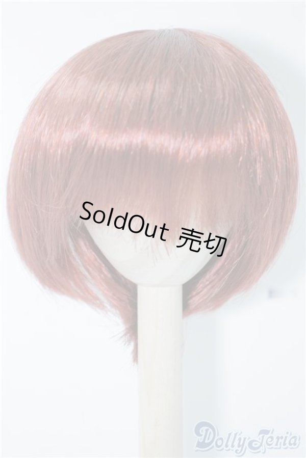 画像1: 9-10inch/ウィッグ U-24-09-10-209-TN-ZU (1)