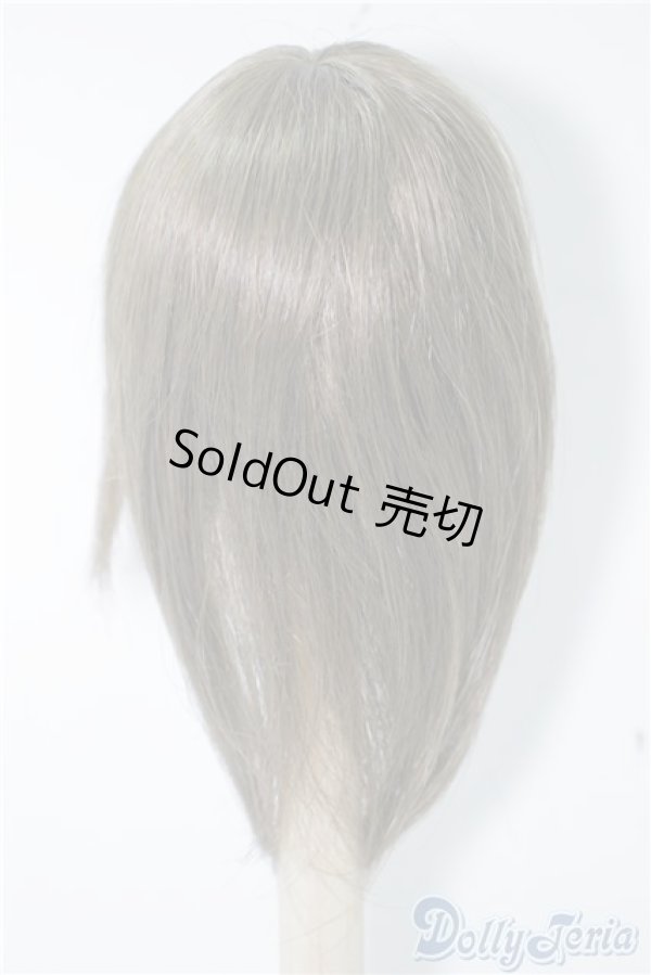 画像2: 7-8inch/ウィッグ U-24-09-10-201-TN-ZU (2)