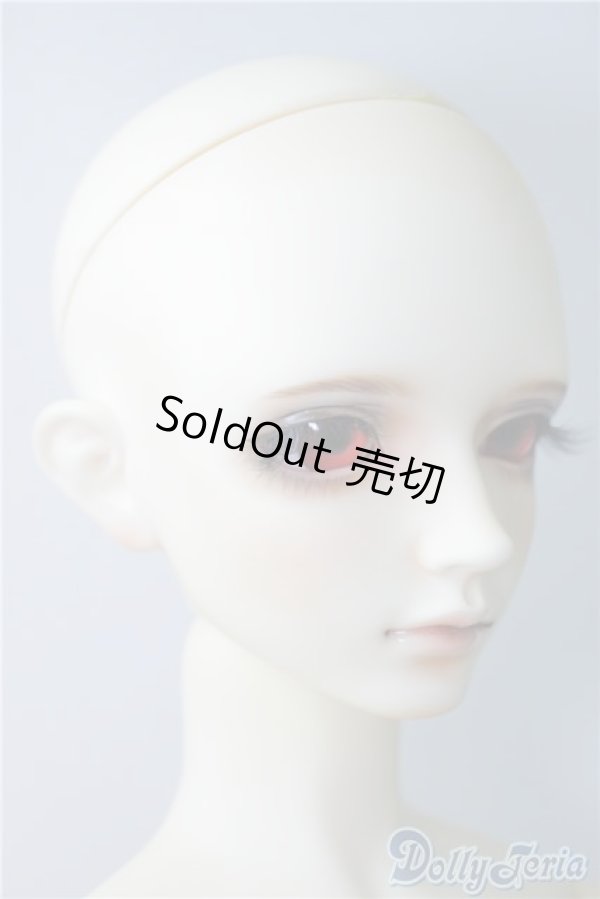 画像2: LEEKEWORLD/Ltype:LION　　 A-24-09-17-1146-TN-ZU (2)