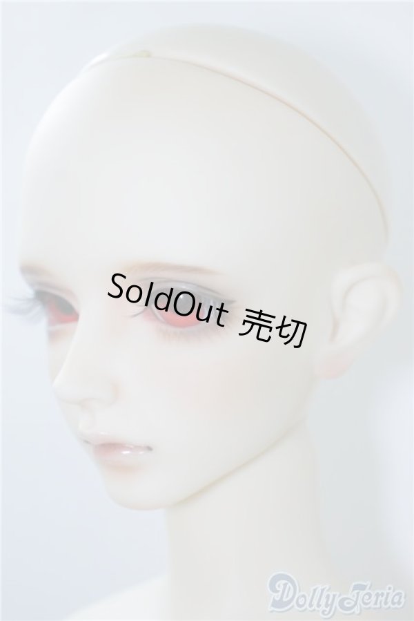 画像3: LEEKEWORLD/Ltype:LION　　 A-24-09-17-1146-TN-ZU (3)