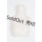 画像: MDD/上半身パーツ/ A-25-11-12-024-TN-ZA