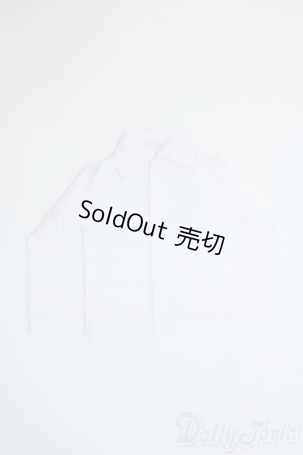 画像1: SDM＆MSD/OF:トップス Y-25-10-01-113-TN-ZY (1)