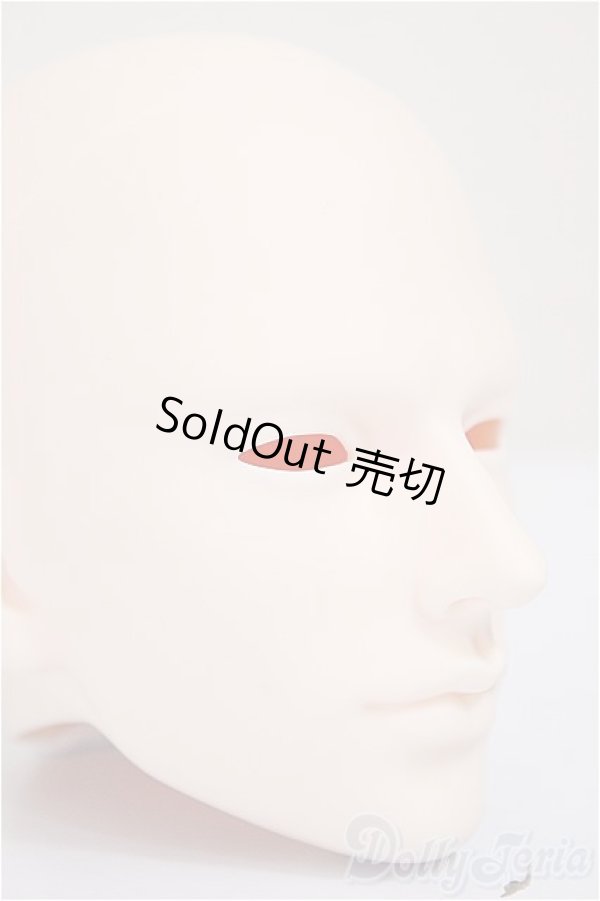 画像2: MARS DOLL/LIMITED HWI/BJD　球体関節人形 A-25-11-12-101-TN-ZA (2)