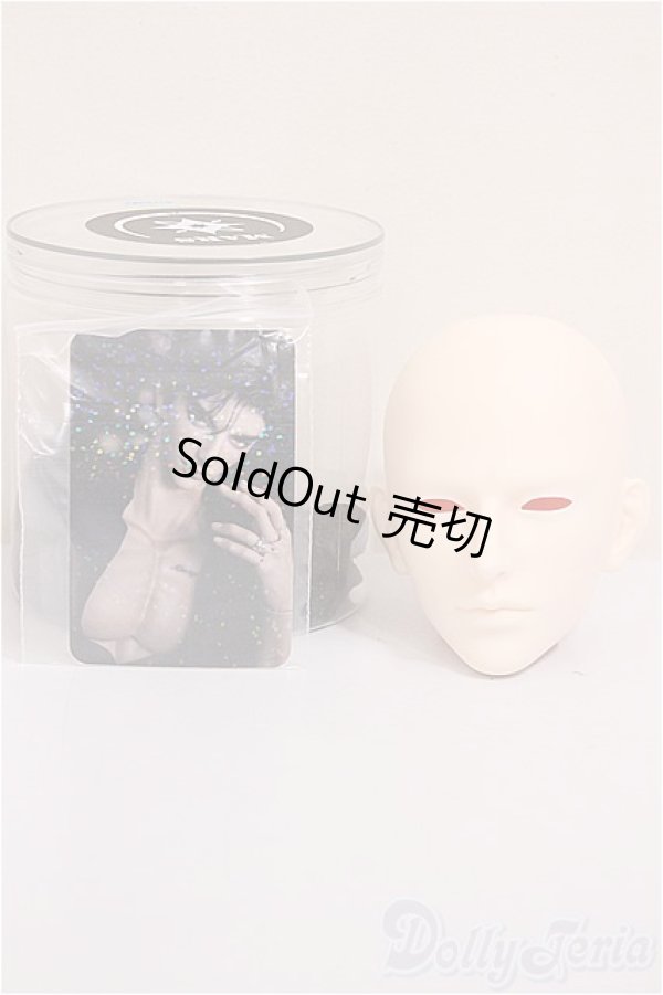 画像4: MARS DOLL/LIMITED HWI/BJD　球体関節人形 A-25-11-12-101-TN-ZA (4)