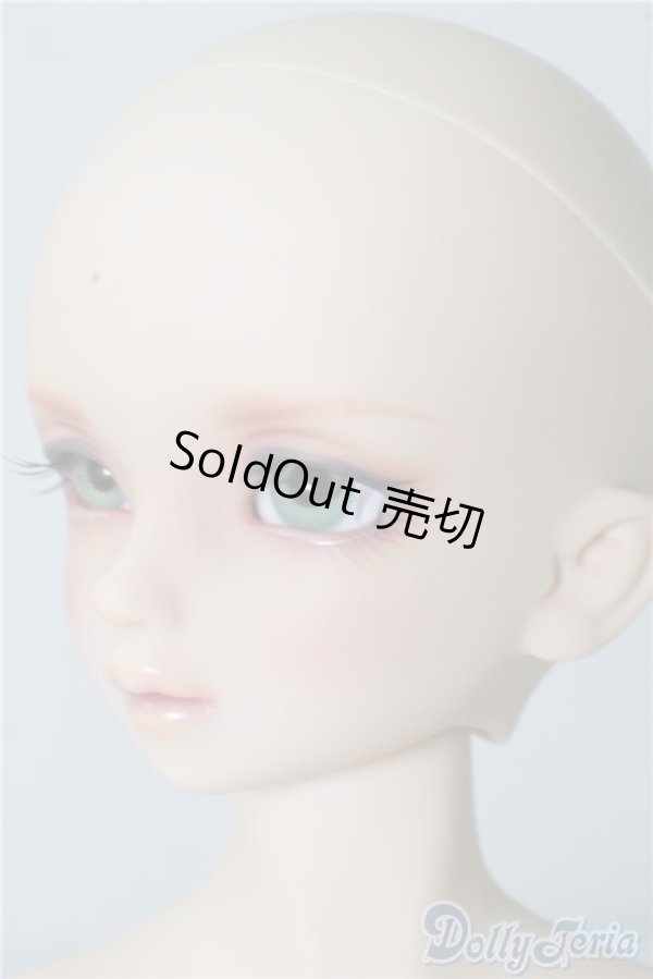 画像3: SDM/F-46：コーディネートモデル U-24-10-22-218-KD-ZU (3)