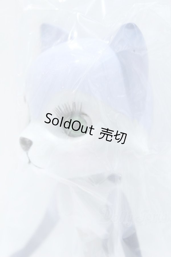 画像2: ninitaのニッキ S-25-11-16-018-KD-ZS (2)