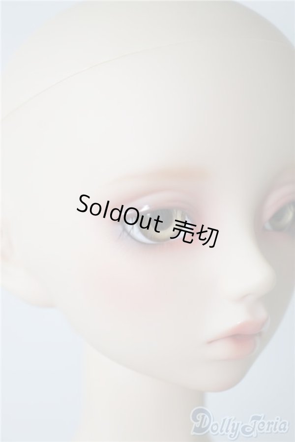 画像3: SD13G/フルチョイスF-62 U-24-10-22-219-KD-ZU (3)