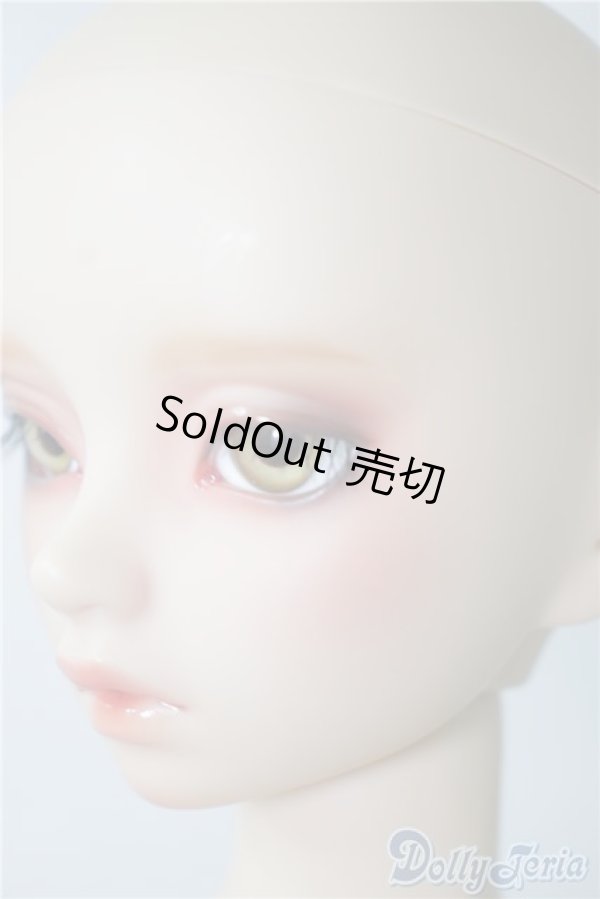 画像4: SD13G/フルチョイスF-62 U-24-10-22-219-KD-ZU (4)