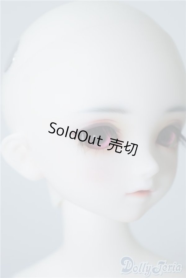 画像3: SDM/フルチョイス:F-33 U-24-10-22-220-TN-ZU (3)