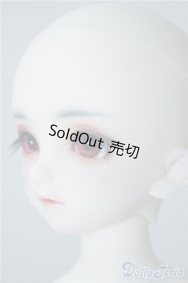 画像4: SDM/フルチョイス:F-33 U-24-10-22-220-TN-ZU (4)