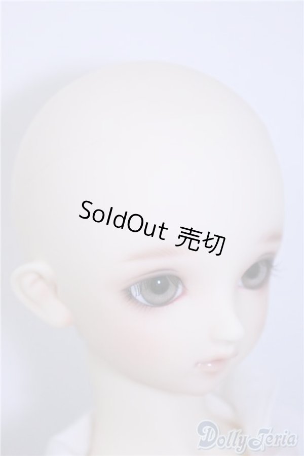 画像3: SD/まい：スタンダードモデル U-24-10-29-219-TN-ZU (3)