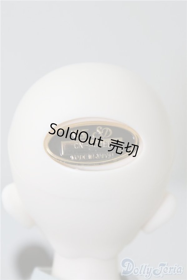 画像5: SDM女の子/コーディネートモデルF-50 U-24-11-05-215-TN-ZU (5)