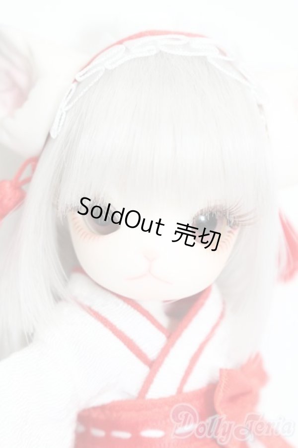 画像1: DOLLZONE/Mini Kitty S-25-05-25-011-TN-ZS (1)