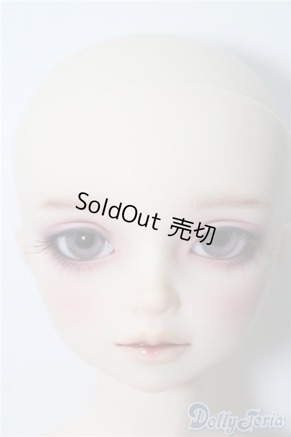 画像2: SDMBOY/ギルバート 星間学寮Ver. U-24-11-05-220-TN-ZU (2)