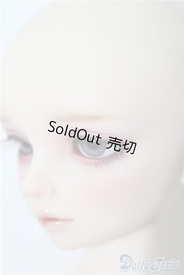 画像4: SDMBOY/ギルバート 星間学寮Ver. U-24-11-05-220-TN-ZU (4)