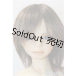 画像: SD13BOY/教室Ａヘッド+13BOY分割ボディ U-24-11-12-218-TN-ZU