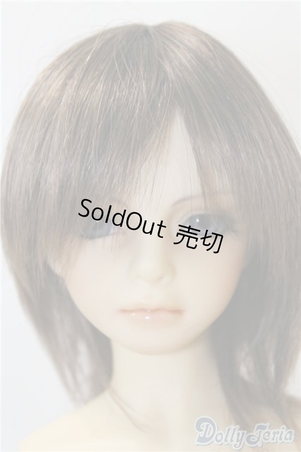 画像1: SD13BOY/教室Ａヘッド+13BOY分割ボディ U-24-11-12-218-TN-ZU (1)