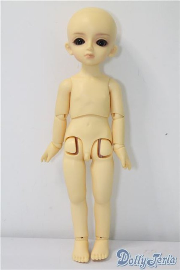 画像5: 幼SD/ピッコロ U-24-11-12-209-TN-ZU (5)