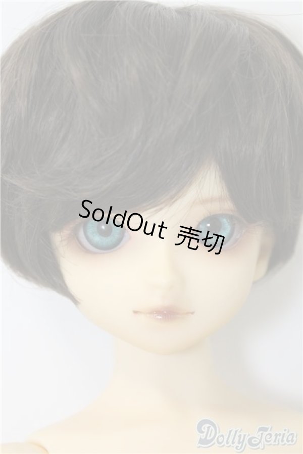 画像1: SDB/教室Bヘッド U-24-11-12-211-TN-ZU (1)