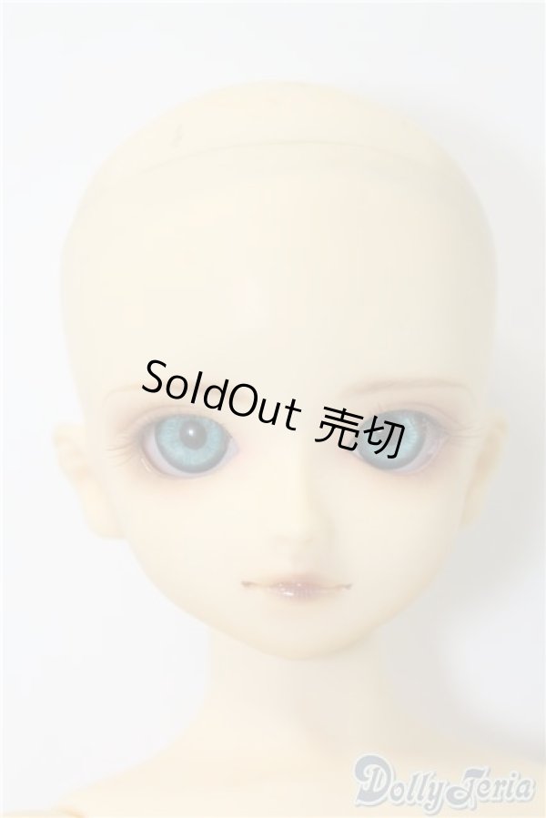 画像2: SDB/教室Bヘッド U-24-11-12-211-TN-ZU (2)